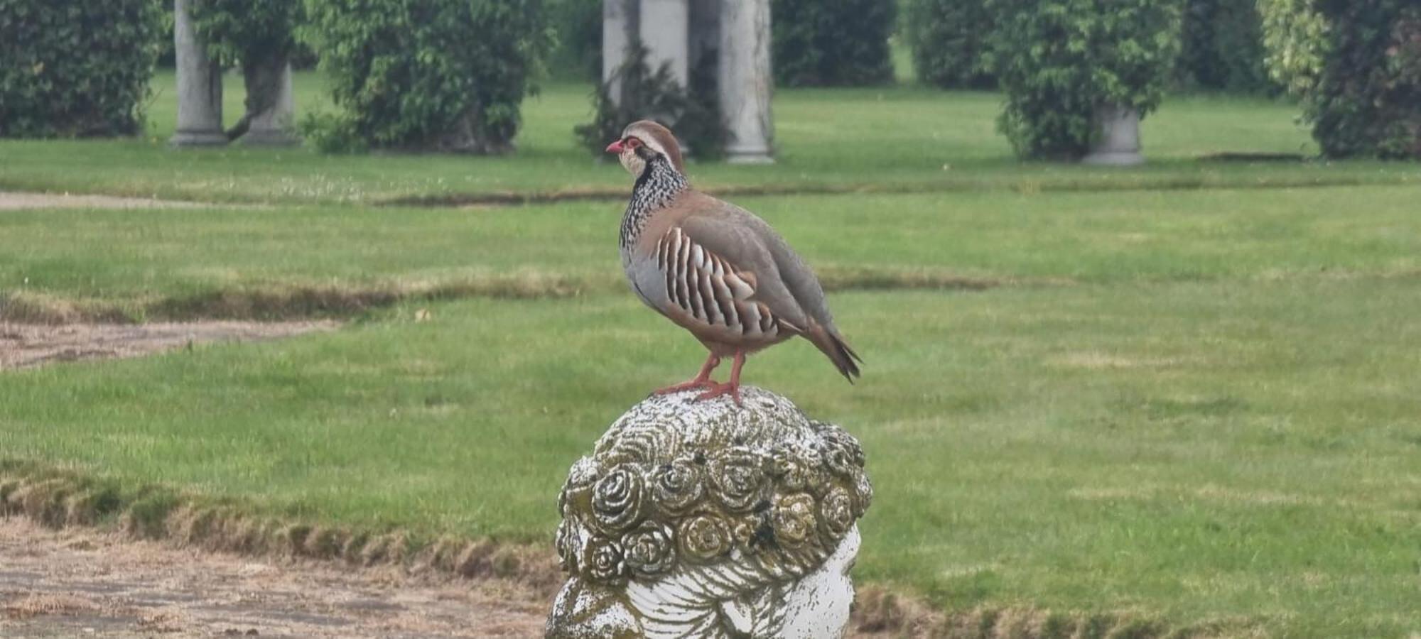 Thornton Manor - Holiday Cottages And Apartments Heswall Quarto foto